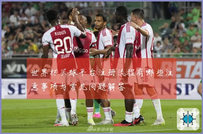 世界杯买球平台注册流程有哪些注意事项与常见问题解答