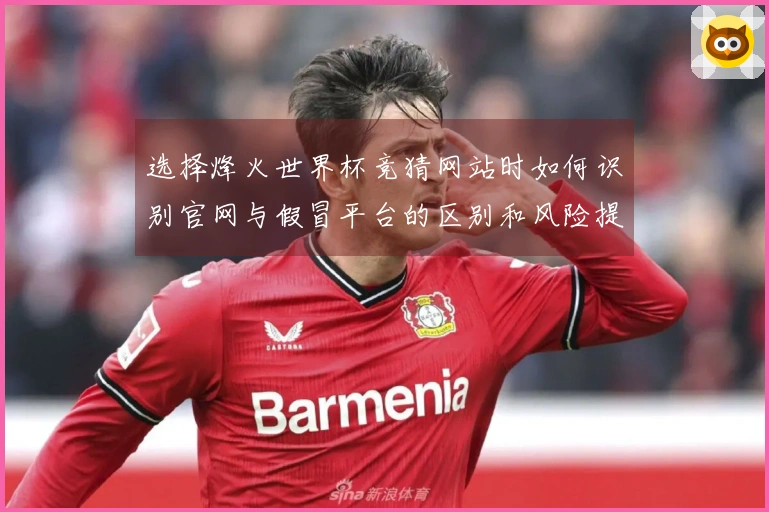 选择烽火世界杯竞猜网站时如何识别官网与假冒平台的区别和风险提示