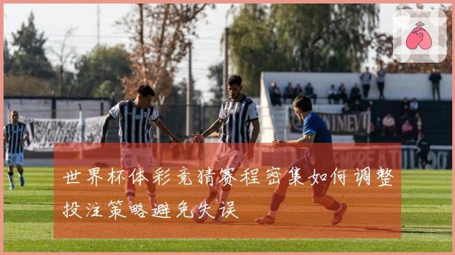世界杯体彩竞猜赛程密集如何调整投注策略避免失误